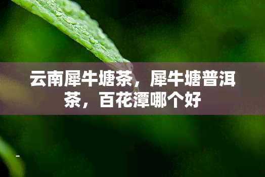 云南犀牛塘茶，犀牛塘普洱茶，百花潭哪个好