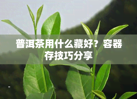 普洱茶用什么藏好？容器存技巧分享