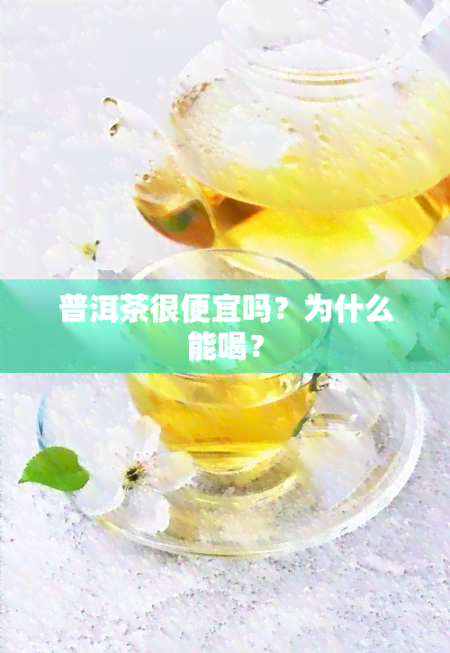 普洱茶很便宜吗？为什么能喝？