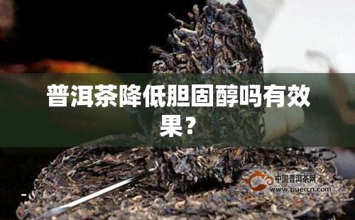 普洱茶降低胆固醇吗有效果？