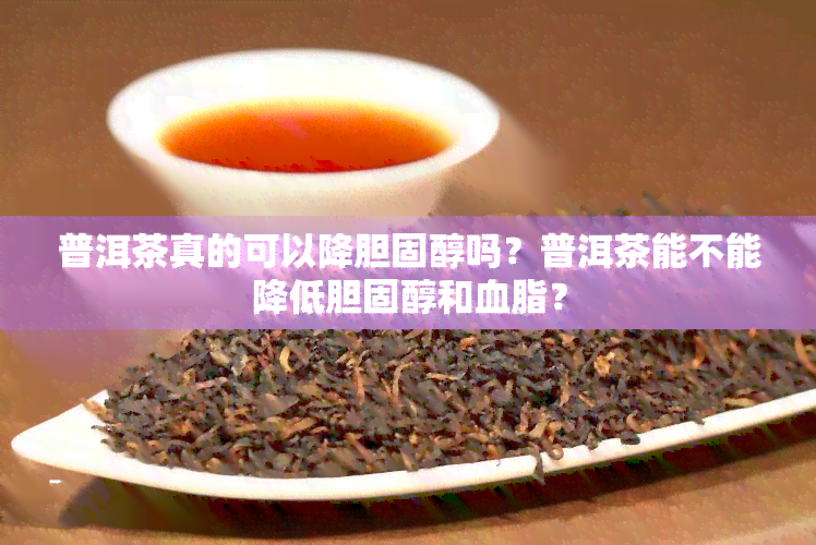 普洱茶真的可以降胆固醇吗？普洱茶能不能降低胆固醇和血脂？