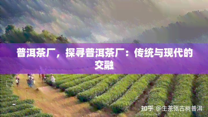 普洱茶厂，探寻普洱茶厂：传统与现代的交融