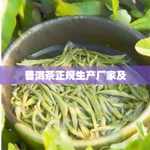 普洱茶正规生产厂家及