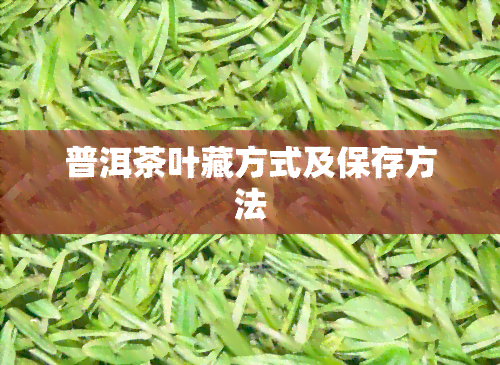 普洱茶叶藏方式及保存方法