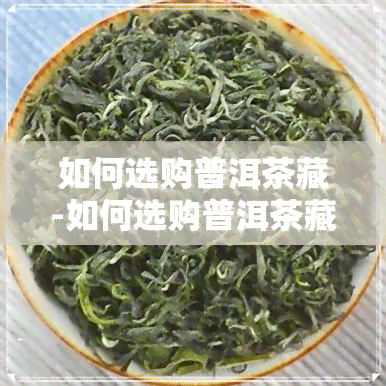 如何选购普洱茶藏-如何选购普洱茶藏方法