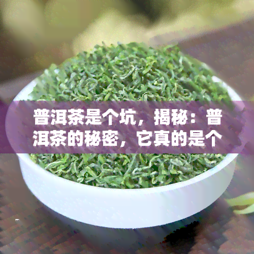 普洱茶是个坑，揭秘：普洱茶的秘密，它真的是个坑吗？