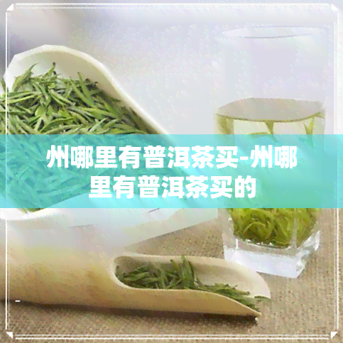 州哪里有普洱茶买-州哪里有普洱茶买的