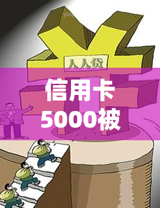 信用卡5000被起诉，处理及败诉费用