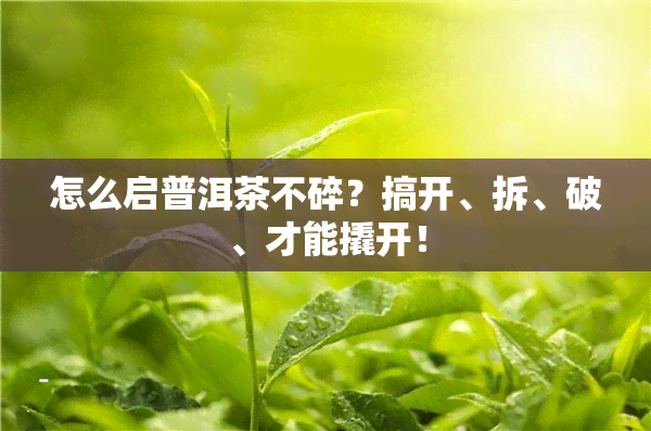 怎么启普洱茶不碎？搞开、拆、破、才能撬开！