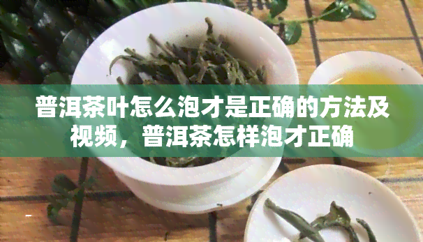 普洱茶叶怎么泡才是正确的方法及视频，普洱茶怎样泡才正确