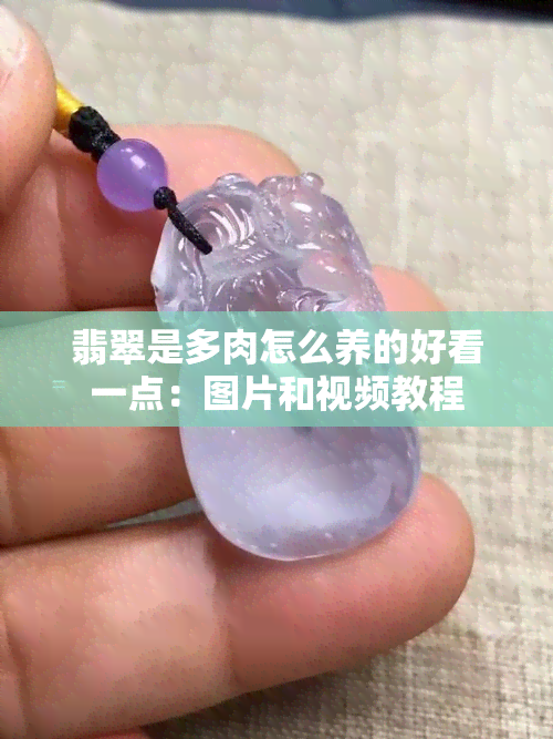 翡翠是多肉怎么养的好看一点：图片和视频教程