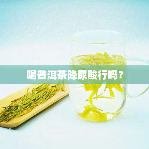 喝普洱茶降尿酸行吗？