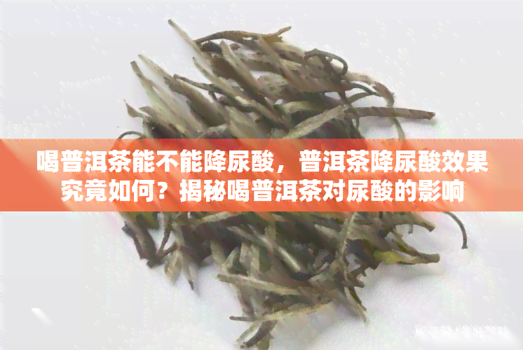 喝普洱茶能不能降尿酸，普洱茶降尿酸效果究竟如何？揭秘喝普洱茶对尿酸的影响