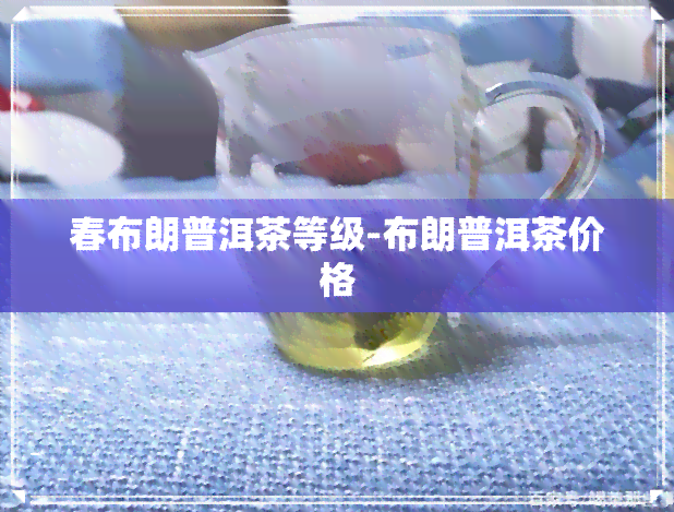 春布朗普洱茶等级-布朗普洱茶价格