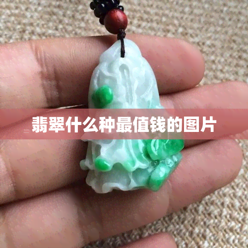 翡翠什么种最值钱的图片