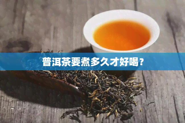 普洱茶要煮多久才好喝？