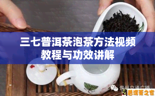 三七普洱茶泡茶方法视频教程与功效讲解