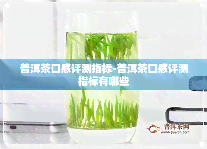 普洱茶口感评测指标-普洱茶口感评测指标有哪些