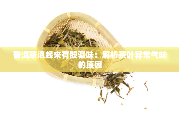 普洱茶泡起来有股骚味：解析茶叶异常气味的原因