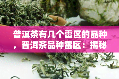 普洱茶有几个雷区的品种，普洱茶品种雷区：揭秘几个需警惕的类型