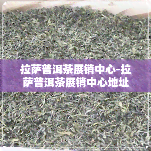  *** 普洱茶展销中心- *** 普洱茶展销中心地址