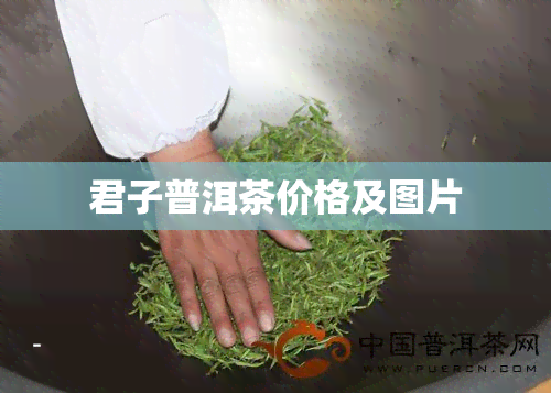 君子普洱茶价格及图片