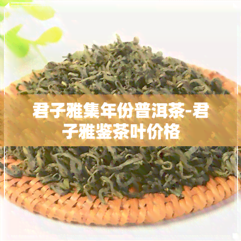 君子雅集年份普洱茶-君子雅鉴茶叶价格