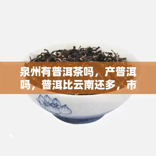 泉州有普洱茶吗，产普洱吗，普洱比云南还多，市有茶叶吗