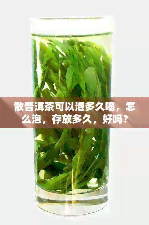 散普洱茶可以泡多久喝，怎么泡，存放多久，好吗？