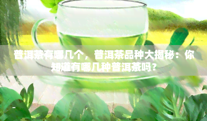 普洱茶有哪几个，普洱茶品种大揭秘：你知道有哪几种普洱茶吗？