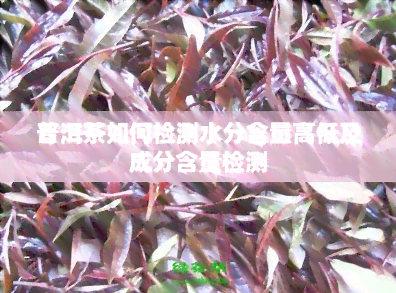 普洱茶如何检测水分含量高低及成分含量检测