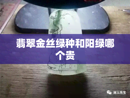 翡翠金丝绿种和阳绿哪个贵