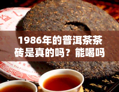 1986年的普洱茶茶砖是真的吗？能喝吗？