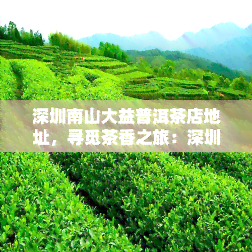 深圳南山大益普洱茶店地址，寻觅茶香之旅：深圳南山大益普洱茶店地址一览