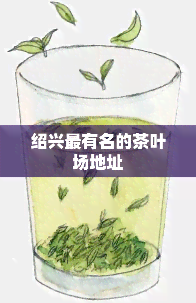 绍兴最有名的茶叶场地址