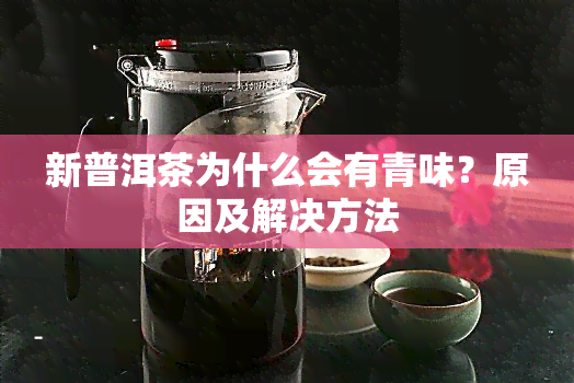 新普洱茶为什么会有青味？原因及解决方法