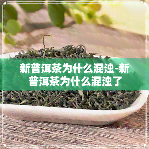 新普洱茶为什么混浊-新普洱茶为什么混浊了