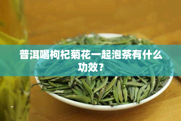 普洱喝枸杞菊花一起泡茶有什么功效？