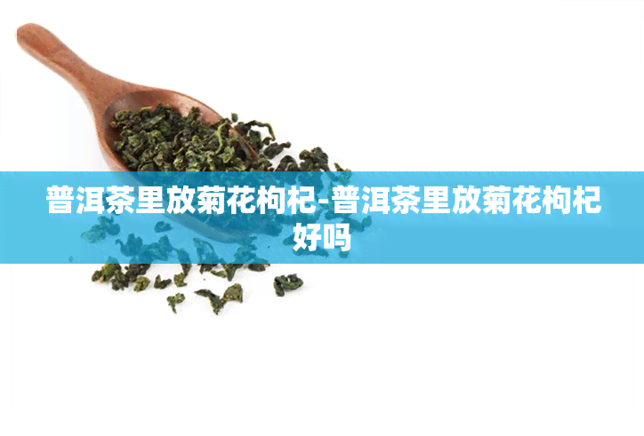 普洱茶里放菊花枸杞-普洱茶里放菊花枸杞好吗