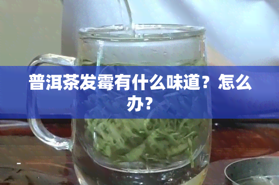 普洱茶发霉有什么味道？怎么办？