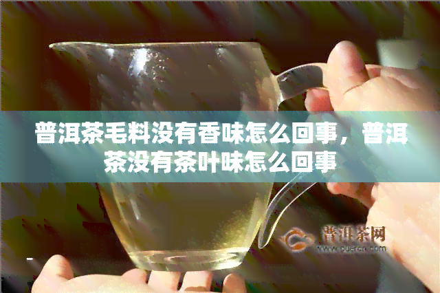 普洱茶毛料没有香味怎么回事，普洱茶没有茶叶味怎么回事