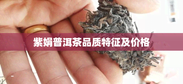 紫娟普洱茶品质特征及价格