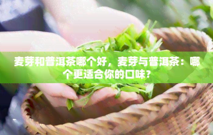 麦芽和普洱茶哪个好，麦芽与普洱茶：哪个更适合你的口味？