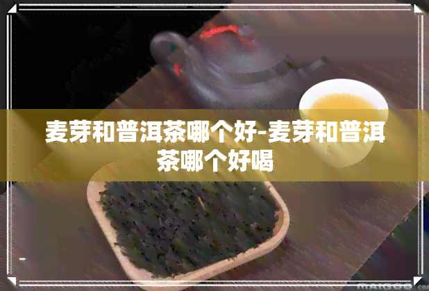 麦芽和普洱茶哪个好-麦芽和普洱茶哪个好喝