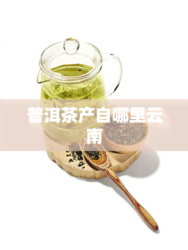 普洱茶产自哪里云南