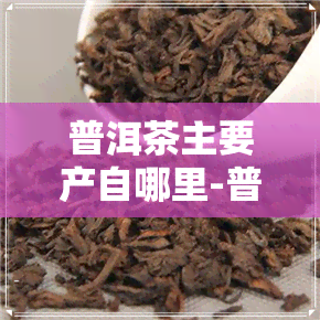 普洱茶主要产自哪里-普洱茶主要产自哪里的