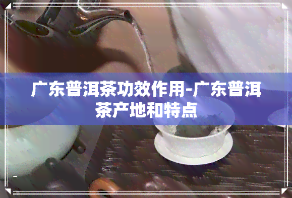 广东普洱茶功效作用-广东普洱茶产地和特点