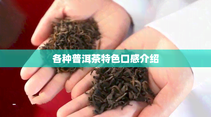 各种普洱茶特色口感介绍