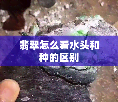 翡翠怎么看水头和种的区别