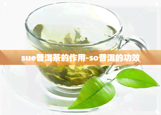 sue普洱茶的作用-so普洱的功效